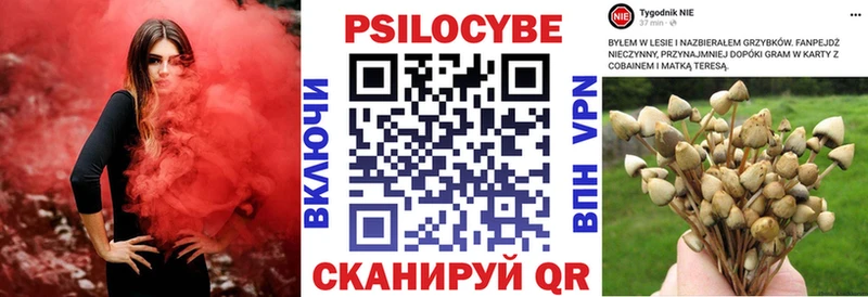Галлюциногенные грибы мицелий  дарнет шоп  Аркадак 